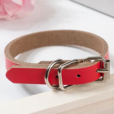 The Essential Collar