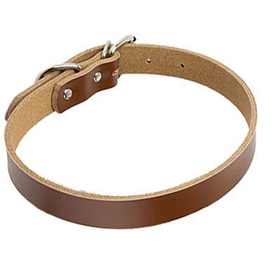 The Essential Collar