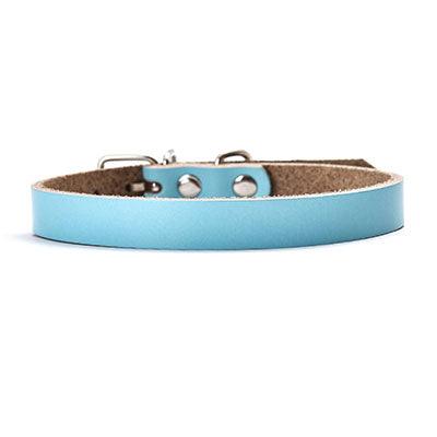The Essential Collar