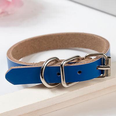 The Essential Collar