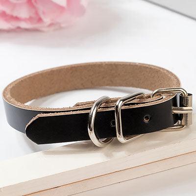 The Essential Collar