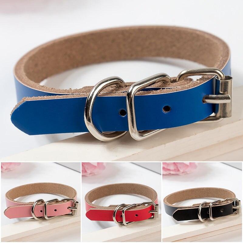 The Essential Collar