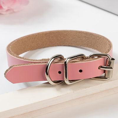 The Essential Collar