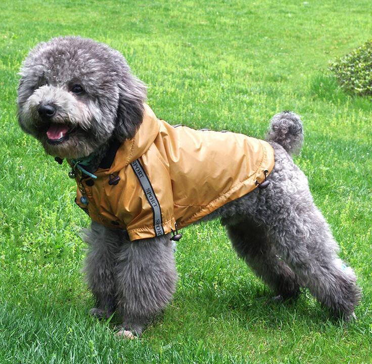 Opulent Sport Anorak - Waterproof Hooded Dog Jacket