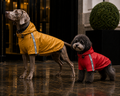 Opulent Sport Anorak - Waterproof Hooded Dog Jacket